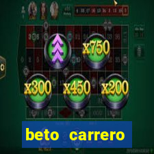 beto carrero cidades proximas